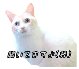 222051202