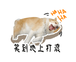 22210493