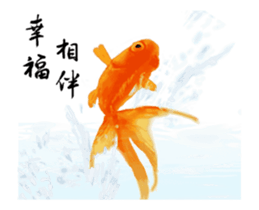 22214062