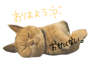 22214949