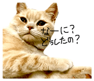 22214957