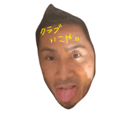 22245322