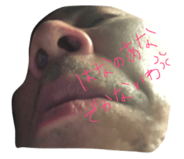 22245323