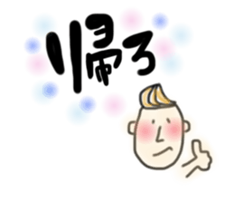 22250804