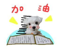 22259503