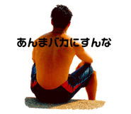222655497