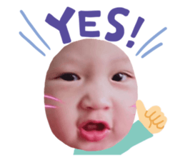 222659135