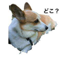 222702968