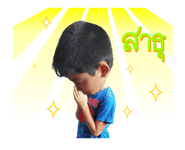 22270906
