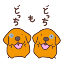 2227356