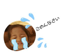222916532