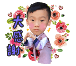 222933148