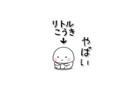 223023294