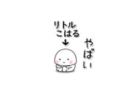 223028246