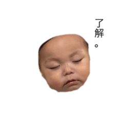 223066035
