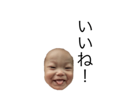 223066036