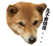 223101117
