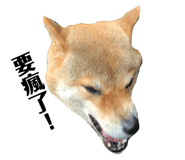 223101119