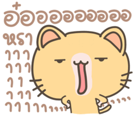 223128290