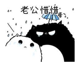 223139610