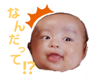 223149857