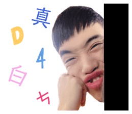 223168021