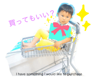 223173564