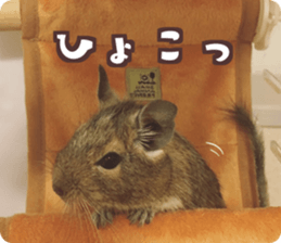 22332002