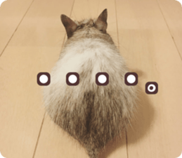 22332004