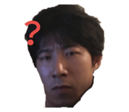 223345404