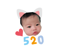 223355494