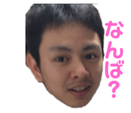 223365460