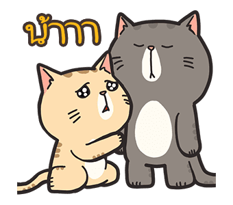 บูกี้ แทมี่: คู่รักแมวป่วน รูปที่ 17