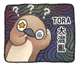 223477509