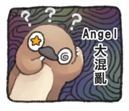 223480813