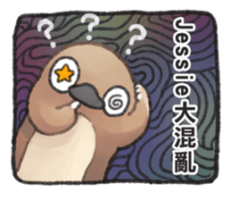 223483125
