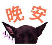 223531706