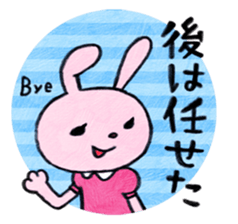 223536