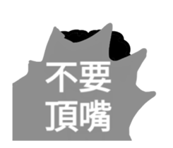 22356406