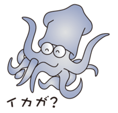 2235957