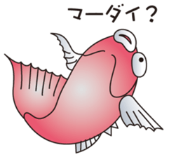 2235972