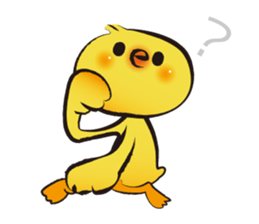 223664