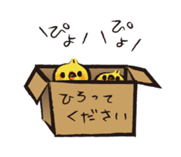 223666