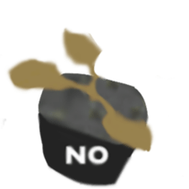 22367269