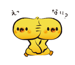 223684