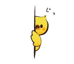 223686