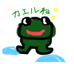 223703504
