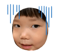 223708040