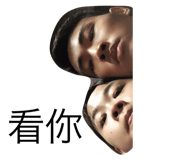223710332