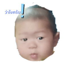 223742018
